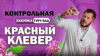 Красный клевер: полезные свойства, применение — выбираем качественный продукт!