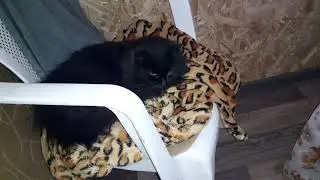 попрощались с Художницей