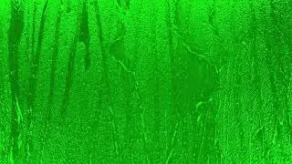 Капли стекающие по стеклу на хромакее (Для свободного пользования)