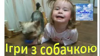 Ігри з собачкою Вулкашою