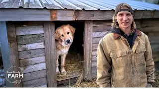 New Dog House Build 🐶  Laux Family Farm