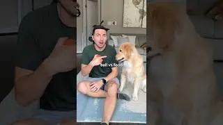 I’ve never seen a dog like this!