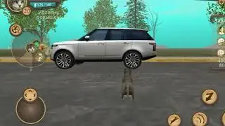 Никогда не играйте в Cat sim в 3 часа ночи... 💀🤡☠️
