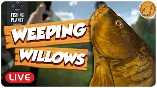 TESTING Level 50 builds for Weeping Willows! | Fishing Planet [LIVE]
