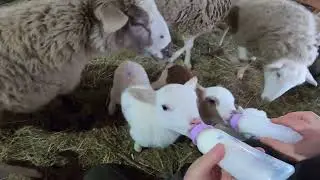 КОГО ОНА РОДИЛА ? СУПЕР ПОПОЛНЕНИЕ !