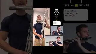 UNDERTALE - Fallen Down ❤️ Contrabass Flute