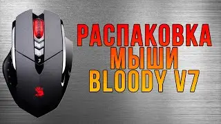 Обзор и распаковка Игровой мыши Bloody v7