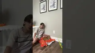 MOST TIMES TO PET A CAT… EVER 