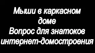 Мыши в каркаснике Вопрос к знатокам интернет-домостроения.