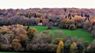 English Autumn Glory