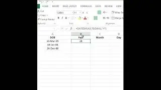Calculating Age Using DATEDIF Function in Excel #exceltips  #DATEDIFFunction #agecalculation