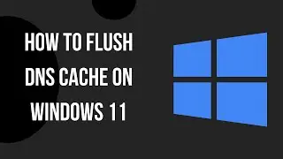 How to Flush DNS Cache on Windows 11