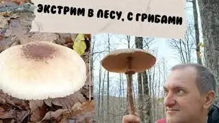 Лесное озеро и качели за Горячим Ключом.25.11.2023.
