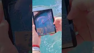 Heart to the World W24 high-speed continuous shooting function demonstration #Samsung
