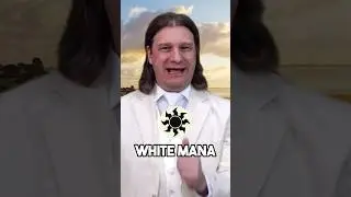 Which Magic: The Gathering Color Are You?