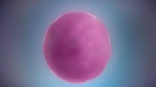 (بناء البروتين) النسخ والترجمة