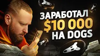 DOGS - НОВЫЙ ПРОЕКТ ДУРОВА! Листинг уже в Июле! Сколько можно заработать?