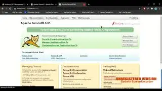 Tomcat Installation and Access Manager App
