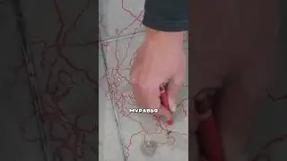 The artist watched the ant 