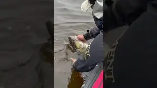 Пётр Денисов / Судак 104см