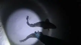 ЛОВЛЯ НАЛИМА ЗИМОЙ НА ТЫЧКИ! РЕКА ВИЛЮЙ. ЯКУТИЯ. Burbot fishing! 01.02.22