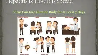Hepatitis A, B, C video