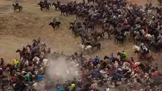 Болуп көрбөгөндөй чоң аламан улак. Жалал Абад Сузак