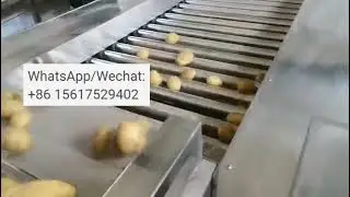 Potato Grader Tomato Sorter Vegetable Sorting Machine Fruit Size Roller Grading Machine#grader