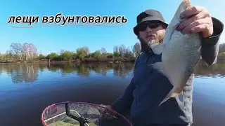 Лещи взбунтовались! Весенний фидер на КиМ (канал им. москвы)