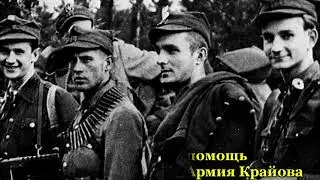 В 2024 году наша страна празднует 79 годовщину Победы в Великой Отечественной войне