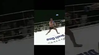 Федор Емельяненко против Миркро Кро Копа