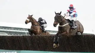 Horse Racing Betting Tips: Bailey's Imperial has a certain Aura about him
