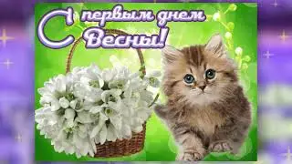 С Первым Днем Весны! Красивое поздравление с 1 марта. Поздравляю с весной! Видео Открытка.