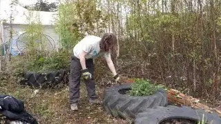 Introduction to the Oasis community garden project