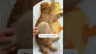 Maybe this is the brush you need!