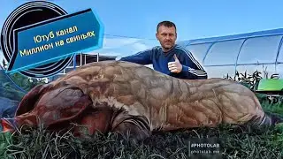Ежедневный влог о свиноводстве ‼️Сколько трачу в неделю на корма‼️ Новое пополнение поросят ‼️