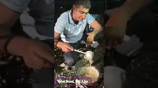 Dubai Desert, BBQ & Tea| Short | Shorts | short  |shorts |UAE |Gulf