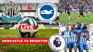 Newcastle vs Brighton Live Stream Premier League EPL Football Match Today Score Highlights Vivo FC