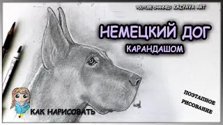 Как нарисовать голову немецкого ДОГА карандашом. Поэтапное рисование