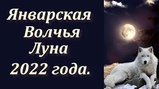 Полнолуние Волка. 17 января 2022 года.