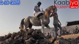 شوط العمالقة الكبار ترو سيرين نجم الليل براق البريق ميدان الاحلام البطوف كفر مندا 2/10/2015