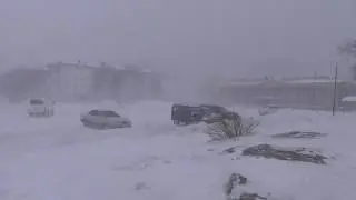 Метель на Сахалине. Углегорск. Ноябрь.