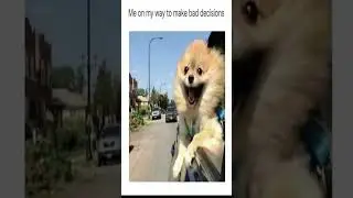 Memes We All Relate to 21