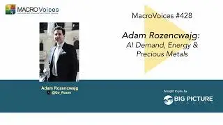 MacroVoices 