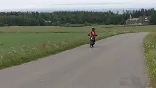 tigerilla keulaaa ylös