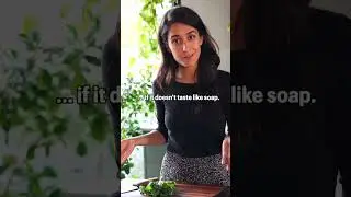 The BEST cucumber salad 🥒