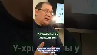 Что такое HY-рестрикция. 