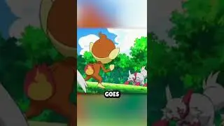 Chimchar's blaze is Insane... 🤔 