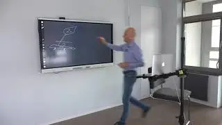Митозы и мейозы папоротникообразных в ЕГЭ по биологии