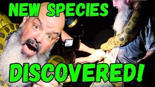 We found the snake! New Amazon species: Part 2
